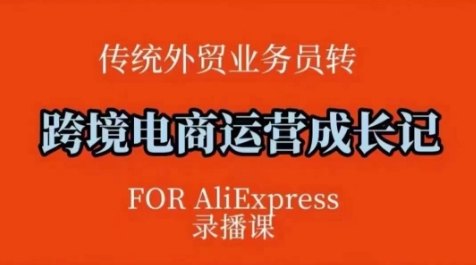 跨境电商速卖通运营课，​运营方法论+后台实操，逻辑清晰-彼飞网创
