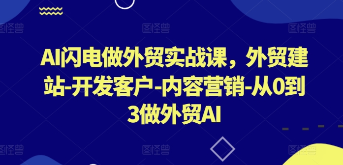 AI闪电做外贸实战课，​外贸建站-开发客户-内容营销-从0到3做外贸AI(更新)-彼飞网创