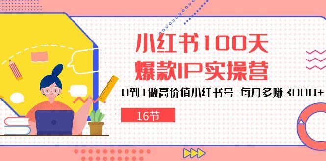 小红书100天-爆款IP实操营，0到1做高价值小红书号 每月多赚3000+(16节-彼飞网创