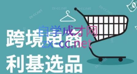 阿甘·2024年跨境电商选品案例(更新)-彼飞网创