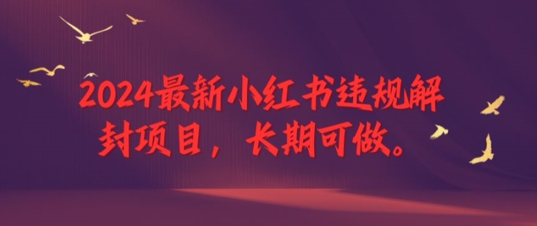 2024最新小红书违规解封项目，长期可做，一个可以做到退休的项目【揭秘】-彼飞网创