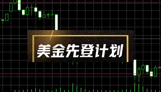 美金先登计划(2025黑马项目-彼飞网创