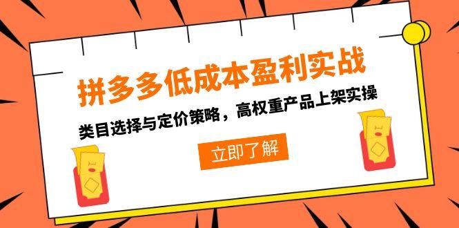 拼多多低成本盈利实战，类目选择与定价策略，高权重产品上架实操-彼飞网创