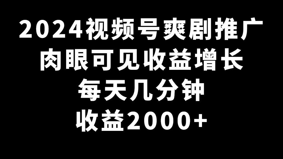 2024视频号爽剧推广，肉眼可见的收益增长，每天几分钟收益2000+-彼飞网创