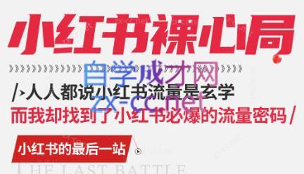 月月老师·小红书低粉高变现课-彼飞网创