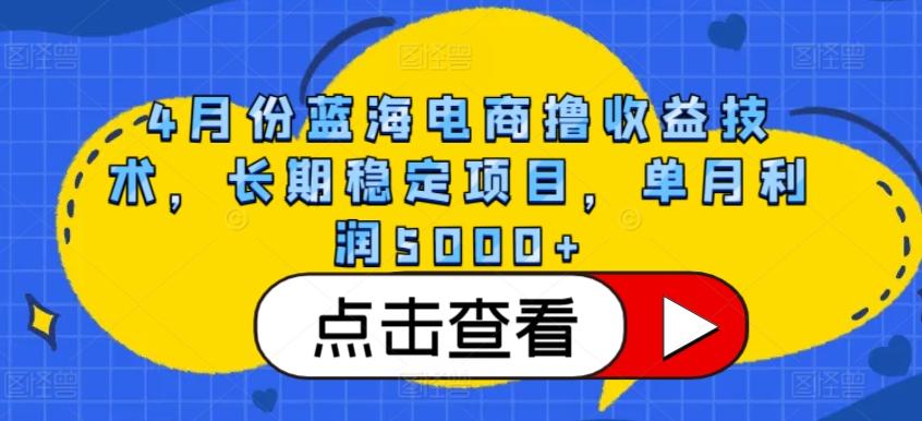 4月份蓝海电商撸收益技术，长期稳定项目，单月利润5000+【揭秘】-彼飞网创