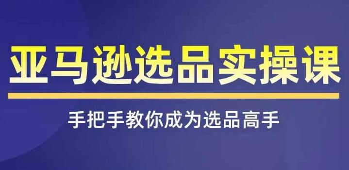 亚马逊选品实操课程，快速掌握亚马逊选品的技巧，覆盖亚马逊选品所有渠道-彼飞网创