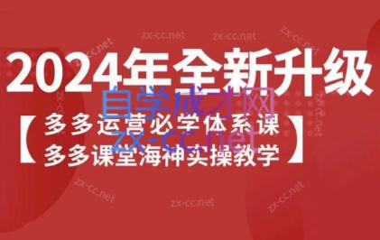 海神老师·拼多多运营必学体系课-彼飞网创