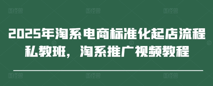2025年淘系电商标准化起店流程私教班，淘系推广视频教程-彼飞网创