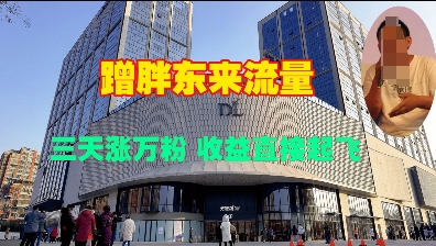 蹭胖东来流量，三天涨万粉，收益直接起飞-彼飞网创