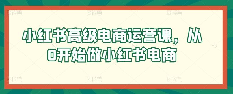 小红书高级电商运营课，从0开始做小红书电商-彼飞网创