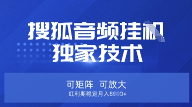 【搜狐音频挂G】独家技术，可矩阵可放大，红利期稳定月入8k【揭秘】-彼飞网创
