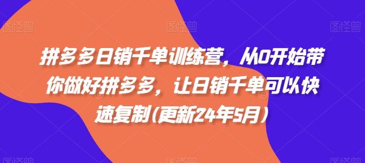 拼多多日销千单训练营，从0开始带你做好拼多多，让日销千单可以快速复制(更新24年5月)-彼飞网创