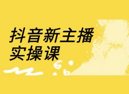 抖音新主播实操课，直播间流量运营线上实操课(18节)-彼飞网创