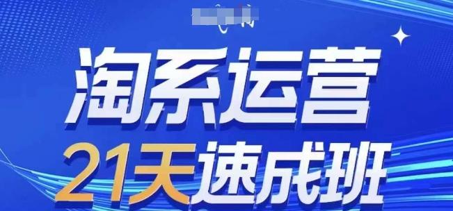 淘系运营21天速成班(更新24年6月)，0基础轻松搞定淘系运营，不做假把式-彼飞网创