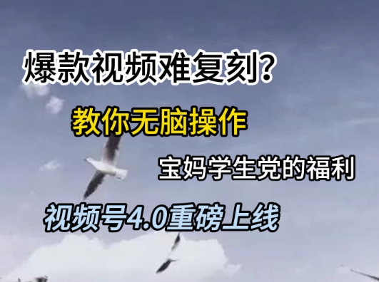 视频号4.0重磅上线，爆款视频难复刻？教你无脑操作宝妈学生党的福利【揭秘】-彼飞网创