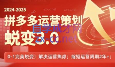 大力老师·2024拼多多运营策略蜕变3.0-彼飞网创