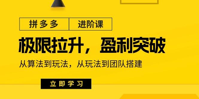 拼多多·进阶课：极限拉升/盈利突破：从算法到玩法 从玩法到团队搭建-18节-彼飞网创