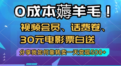 0成本薅羊毛!视频会员、话费卷、30元电影票白送，分享我如何靠转卖一天变现5张+【揭秘】-彼飞网创