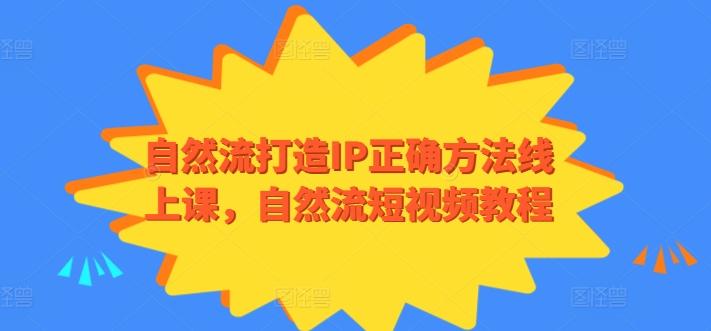 自然流打造IP正确方法线上课，自然流短视频教程-彼飞网创