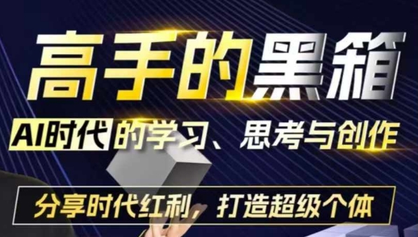 高手的黑箱：AI时代学习、思考与创作-分红时代红利，打造超级个体-彼飞网创