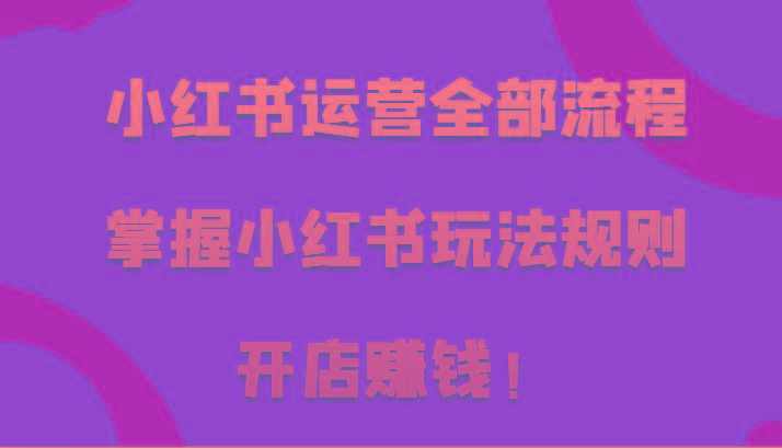 小红书运营全部流程，掌握小红书玩法规则，开店赚钱！-彼飞网创