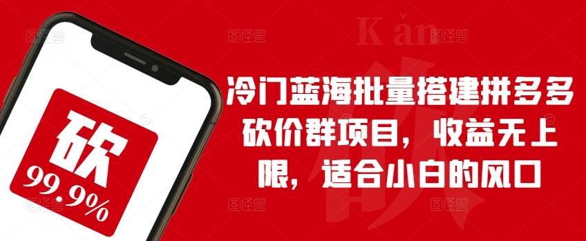 冷门蓝海批量搭建拼多多砍价群项目，收益无上限，适合小白的风口【揭秘】-彼飞网创