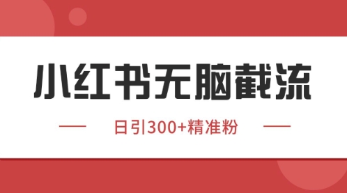 小红书只要你有同行就能获客，独家野路子获客玩法，暴力截流【揭秘】-彼飞网创