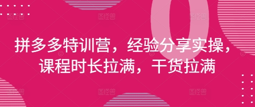 拼多多特训营，经验分享实操，课程时长拉满，干货拉满(更新25年4月)-彼飞网创