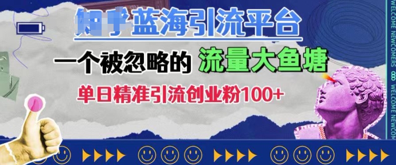 豆瓣蓝海引流平台，一个被忽略的流量大鱼塘，单日精准引流创业粉100+-彼飞网创