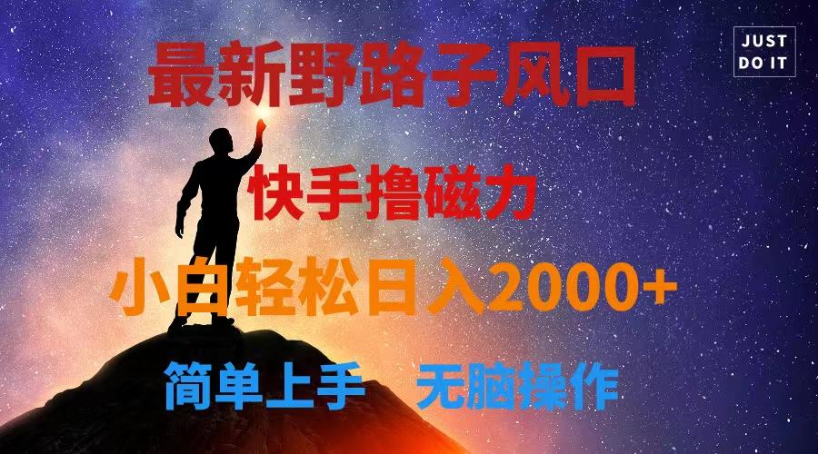 最新风口！快手撸磁力，野路子，小白无脑操作日入2000+-彼飞网创
