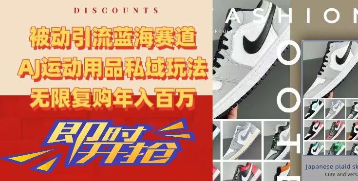 被动引流蓝海赛道，AJ运动用品私域玩法，无限复购年入百万【揭秘】-彼飞网创