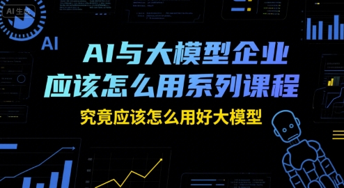 AI与大模型企业应该怎么用系列课程，究竟应该怎么用好大模型-彼飞网创