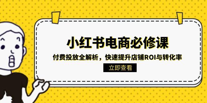 小红书电商必修课：付费投放全解析，快速提升店铺ROI与转化率-彼飞网创