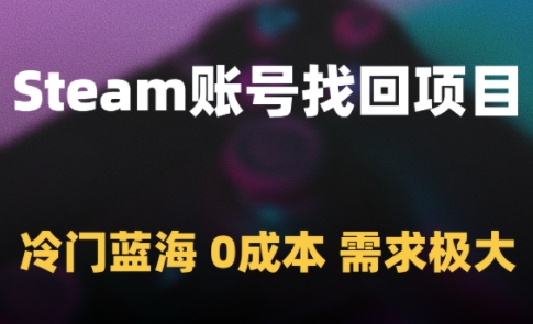 Steam账号找回项目，冷门蓝海，0成本，需求极大-彼飞网创