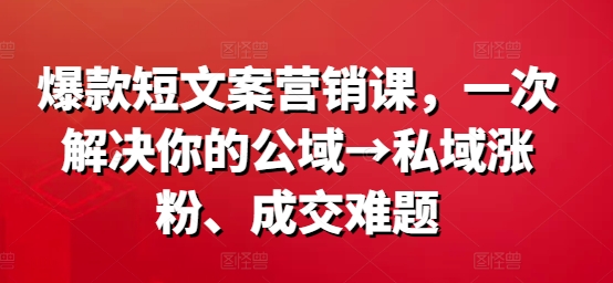 爆款短文案营销课，一次解决你的公域→私域涨粉、成交难题-彼飞网创