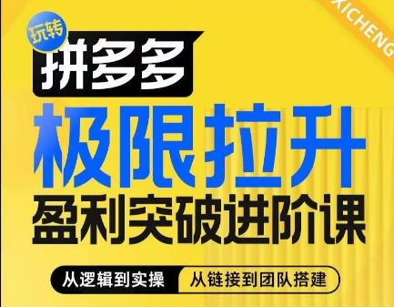 拼多多极限拉升盈利突破进阶课，​从算法到玩法，从玩法到团队搭建，体系化系统性帮助商家实现利润提升-彼飞网创