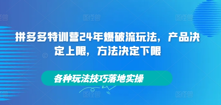 拼多多特训营24年爆破流玩法，产品决定上限，方法决定下限，各种玩法技巧落地实操-彼飞网创