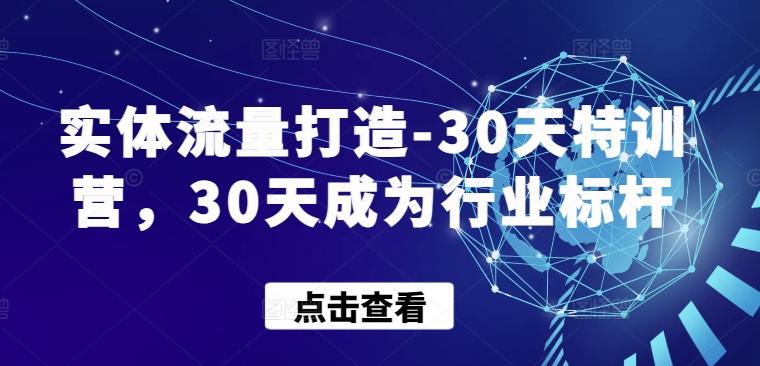 实体流量打造-30天特训营，30天成为行业标杆-彼飞网创