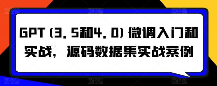 GPT(3.5和4.0)微调入门和实战，源码数据集实战案例-彼飞网创