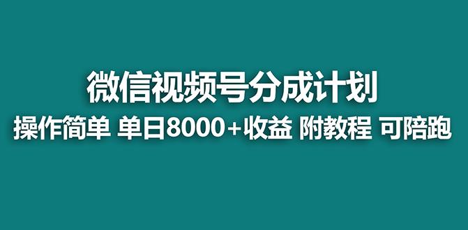 【蓝海项目】视频号分成计划最新玩法，单天收益8000+，附玩法教程，24年…-彼飞网创