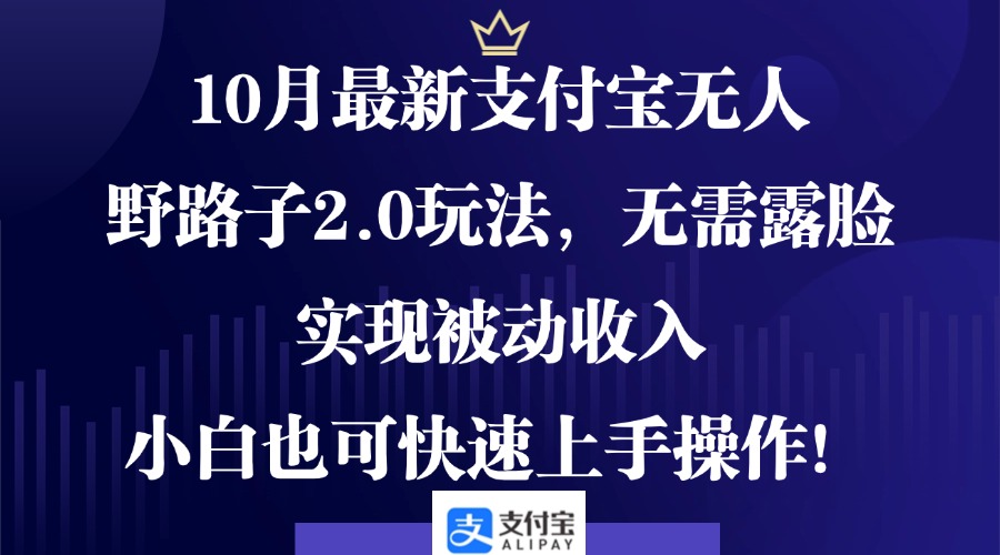 10月最新支付宝无人野路子2.0玩法，无需露脸，实现被动收入，小白也可…-彼飞网创