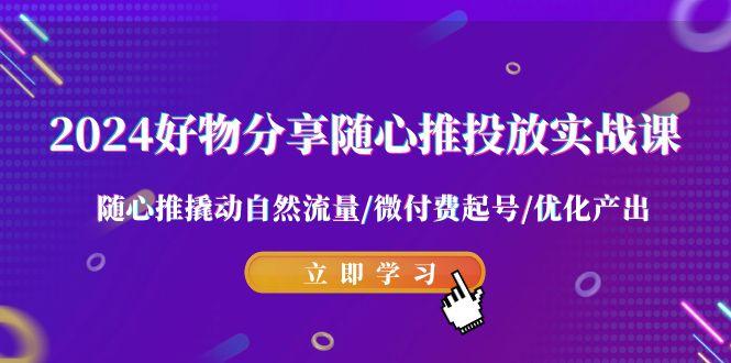 2024好物分享-随心推投放实战课 随心推撬动自然流量/微付费起号/优化产出-彼飞网创