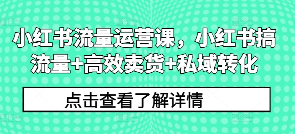 小红书流量运营课，小红书搞流量+高效卖货+私域转化-彼飞网创