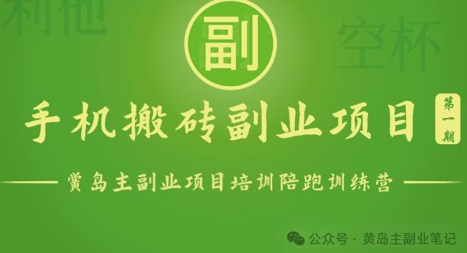 手机搬砖小副业项目训练营1.0，实测1小时收益50+，一部手机轻松日入100+-彼飞网创