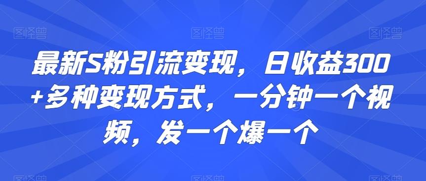 最新S粉引流变现，日收益300+多种变现方式，一分钟一个视频，发一个爆一个【揭秘】-彼飞网创