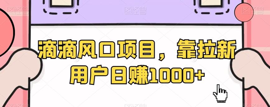 滴滴风口项目，靠拉新用户日赚1000+-彼飞网创