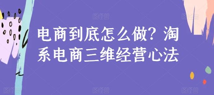 电商到底怎么做？淘系电商三维经营心法-彼飞网创