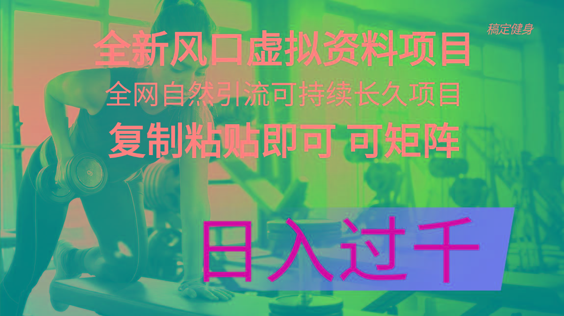 全新风口虚拟资料项目 全网自然引流可持续长久项目 复制粘贴即可可矩阵…-彼飞网创