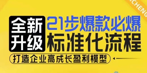 21步爆款必爆标准化流程，全新升级，打造企业高成长盈利模型-彼飞网创